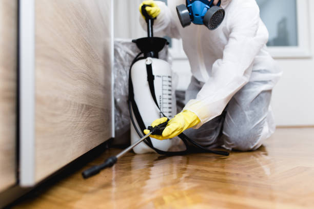 Best Affordable Pest Control Services  in Ramblewood, NJ