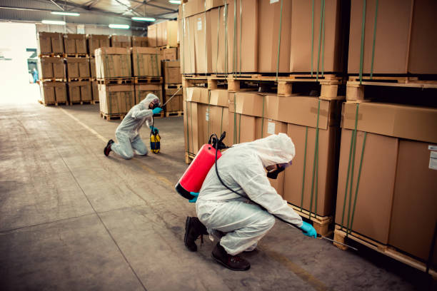 Best Cockroach Control Services  in Ramblewood, NJ