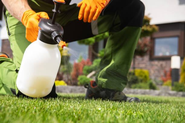 Best Wasp Removal Services  in Ramblewood, NJ