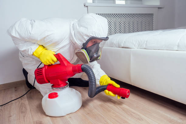 Best Flea Control Services  in Ramblewood, NJ