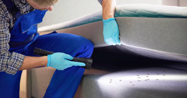Trusted Ramblewood, NJ Pest Control Experts